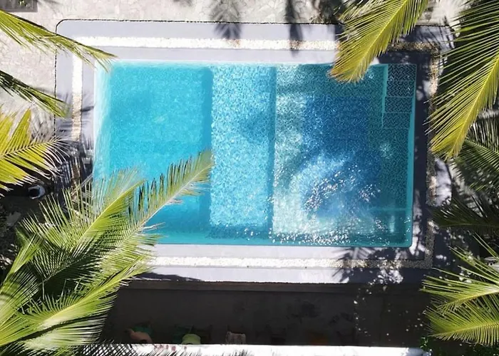 Apo Diver Beach Resort